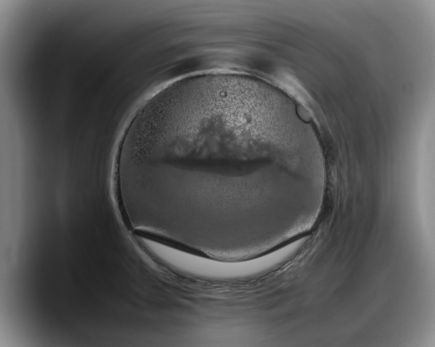 X0000090491379200707201529