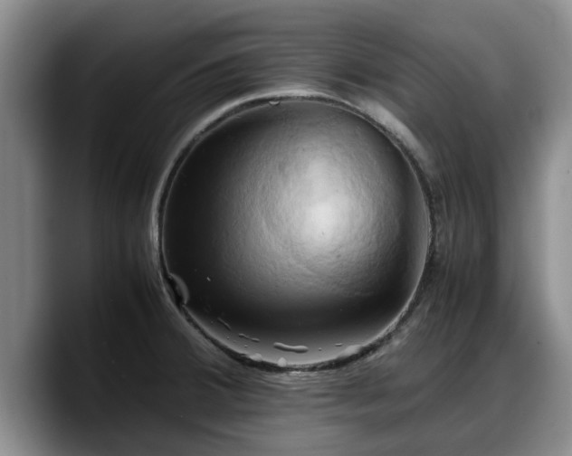 X0000090491380200707201529