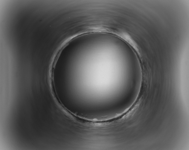 X0000090491381200707201529