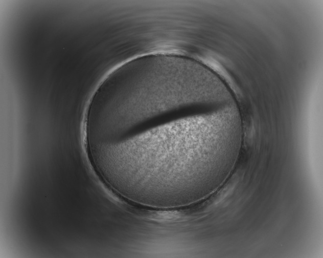 X0000090491383200707201529