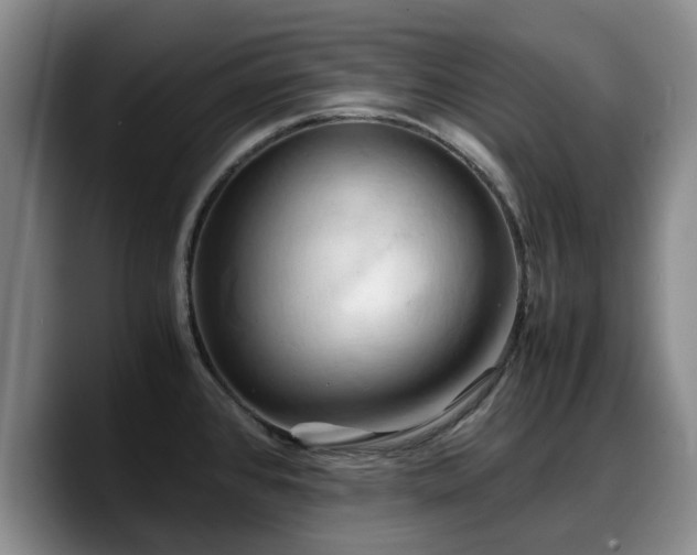 X0000090491384200707201529