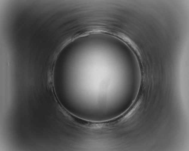 X0000090491385200707201529