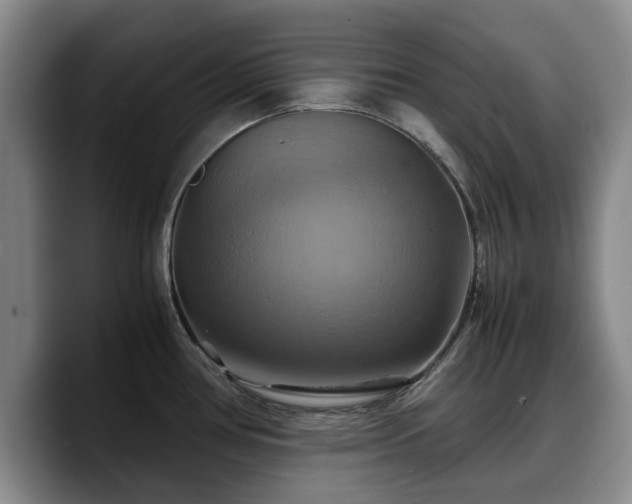 X0000090491386200707201529