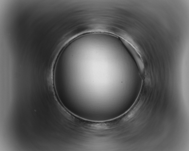 X0000090491388200707201529