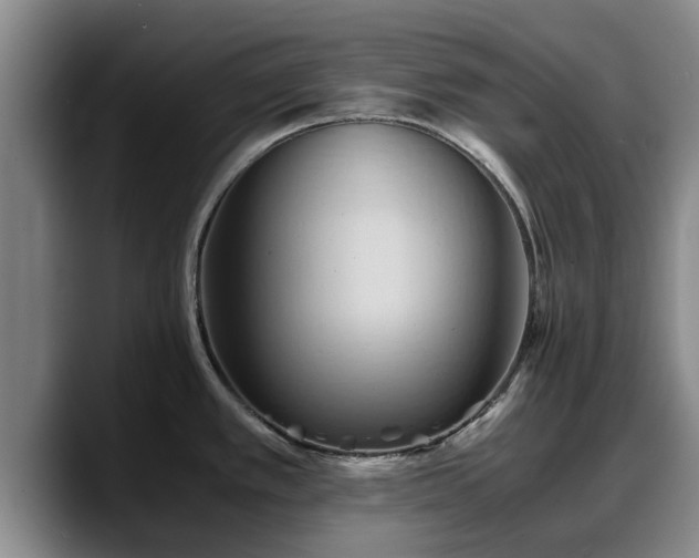 X0000090491389200707201529