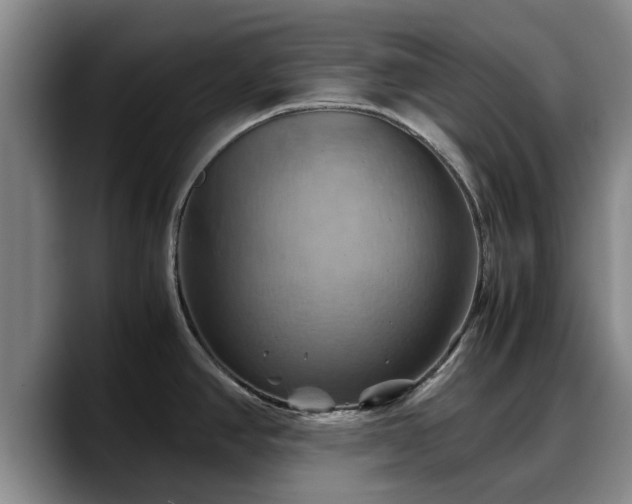 X0000090491390200707201529