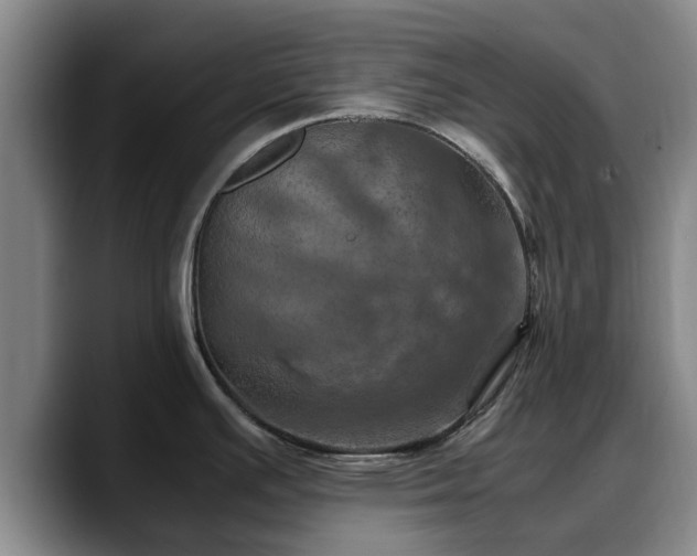 X0000090491391200707201529