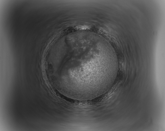 X0000090491393200707201529