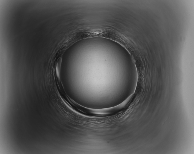 X0000090491394200707201529
