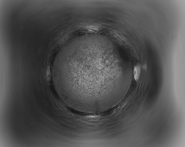 X0000090491395200707201529