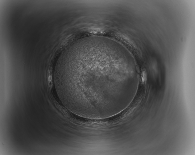X0000090491396200707201529