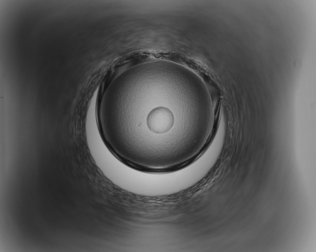X0000090491398200707201529