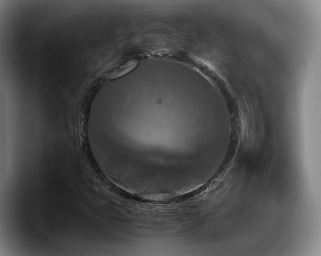 X0000090491399200707201529