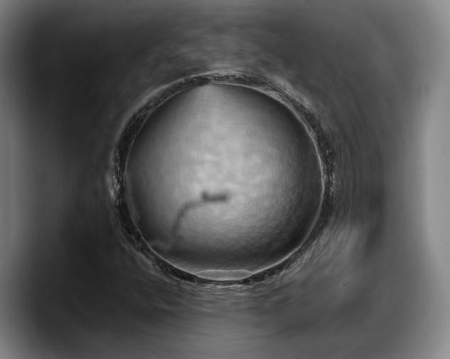X0000090491400200707201529
