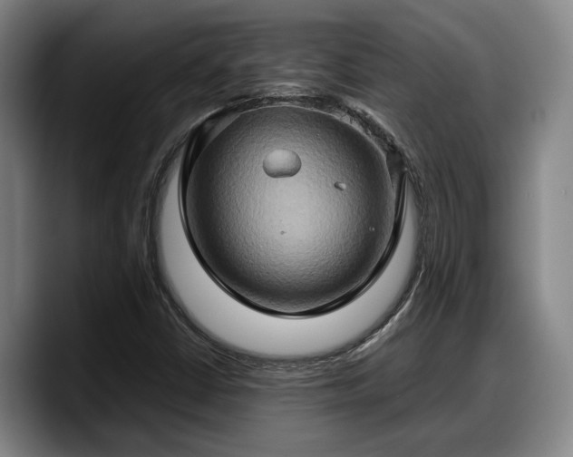 X0000090491402200707201529