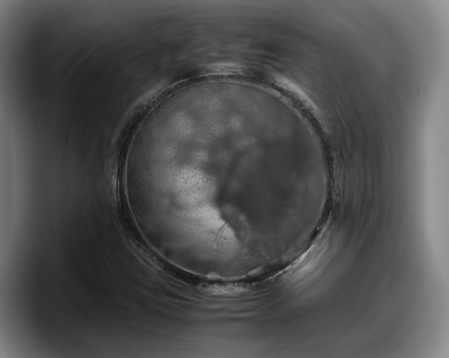X0000090491403200707201529