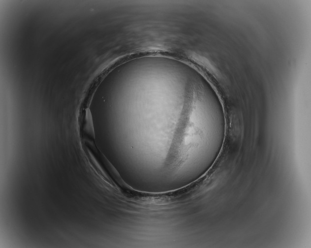 X0000090491404200707201529