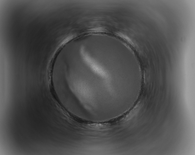 X0000090491405200707201529