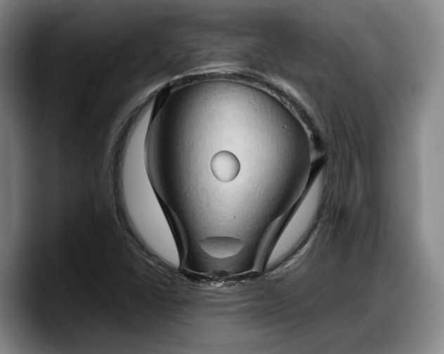 X0000090491406200707201529