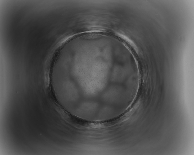 X0000090491407200707201529