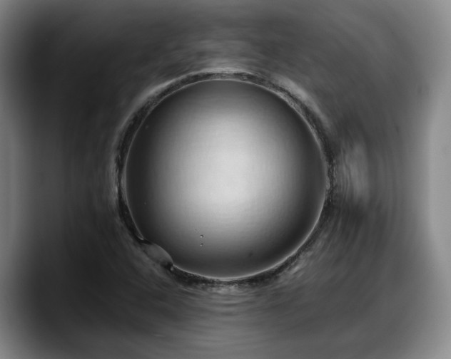 X0000090491408200707201529