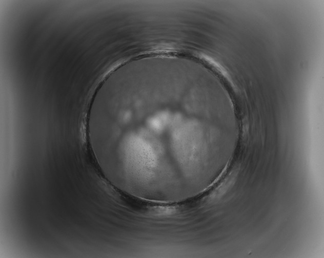 X0000090491409200707201529