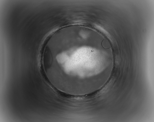 X0000090491411200707201529