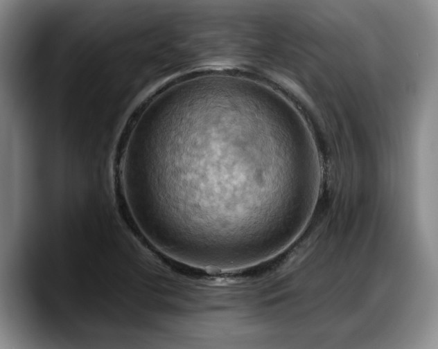 X0000090491412200707201529