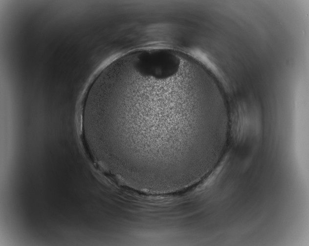 X0000090491413200707201529