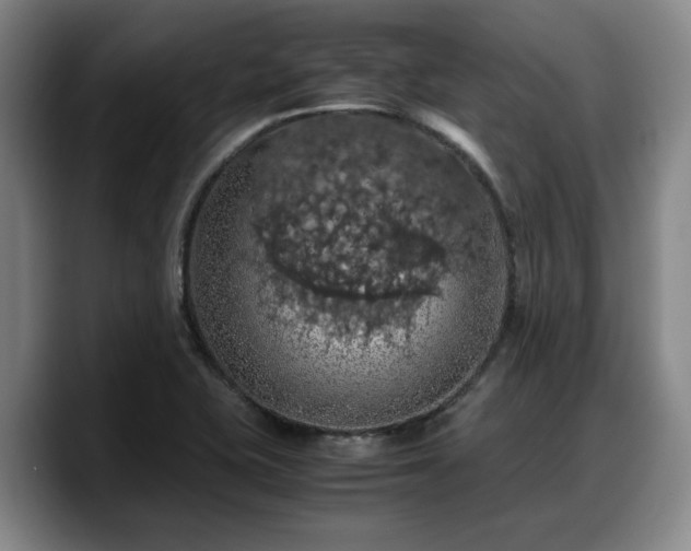 X0000090491415200707201529