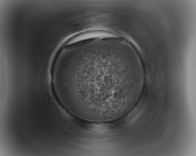 X0000090491416200707201529