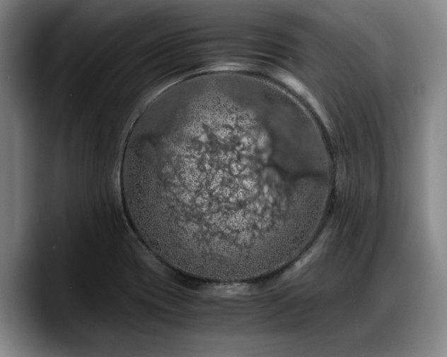 X0000090491417200707201529