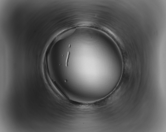 X0000090491418200707201529