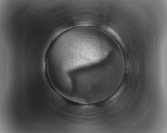 X0000090491419200707201529