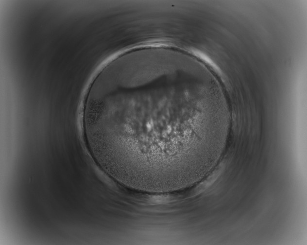 X0000090491421200707201529