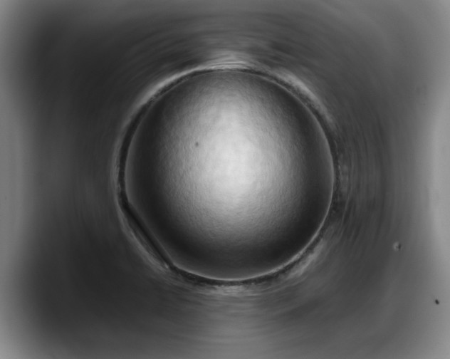 X0000090491422200707201529