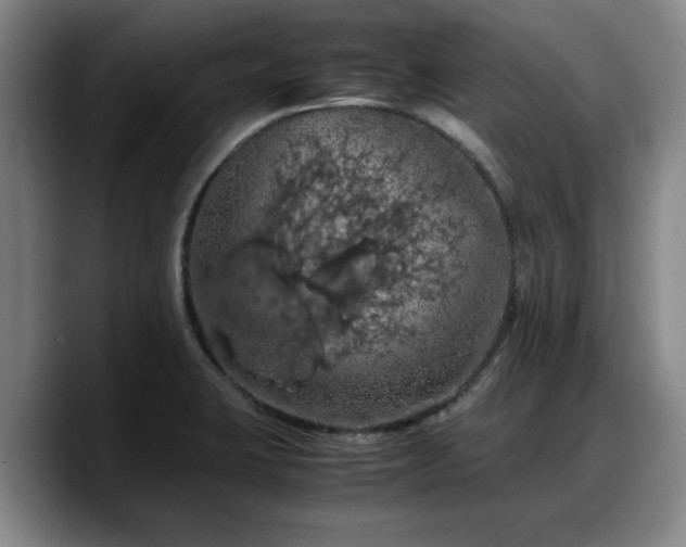 X0000090491423200707201529