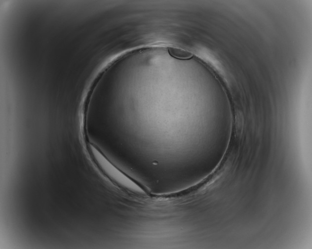 X0000090491424200707201529