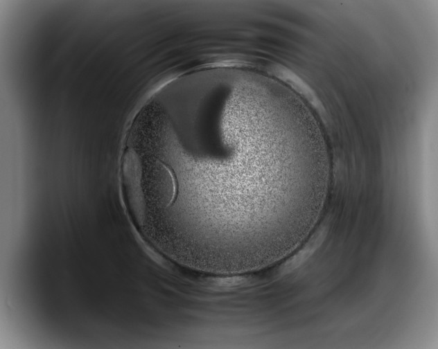 X0000090491425200707201529