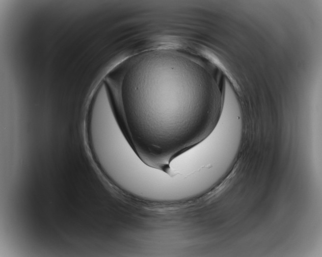 X0000090491426200707201529