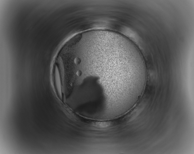 X0000090491427200707201529