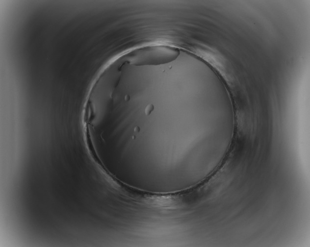 X0000090491428200707201529