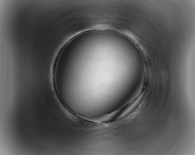 X0000090491430200707201529
