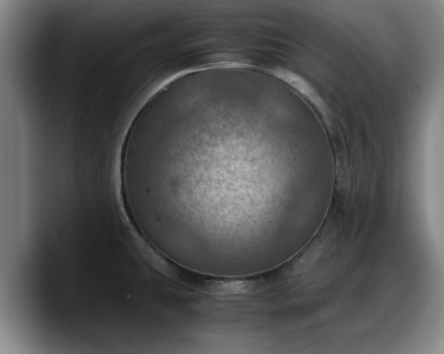 X0000090491431200707201529
