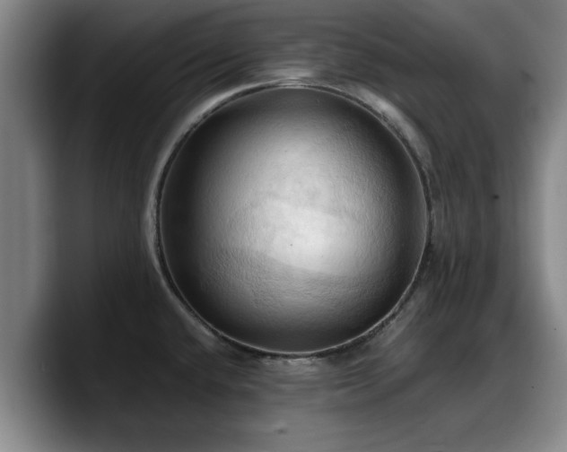 X0000090491432200707201529