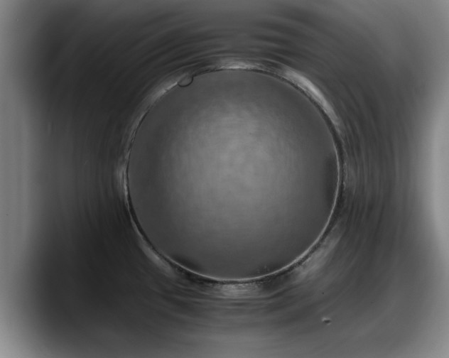 X0000090491433200707201529
