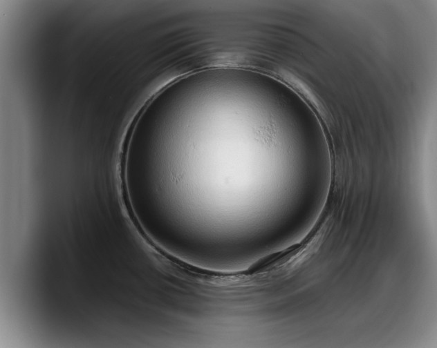 X0000090491434200707201529