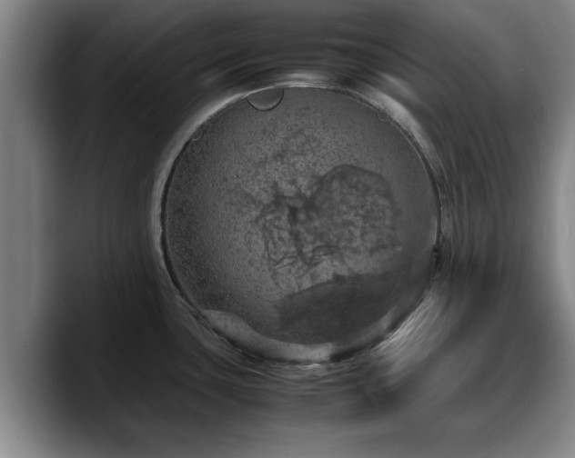 X0000090491435200707201529