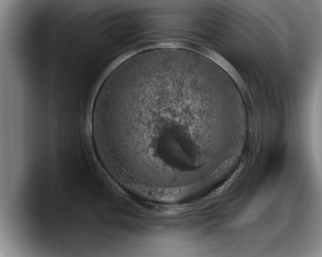 X0000090491436200707201529