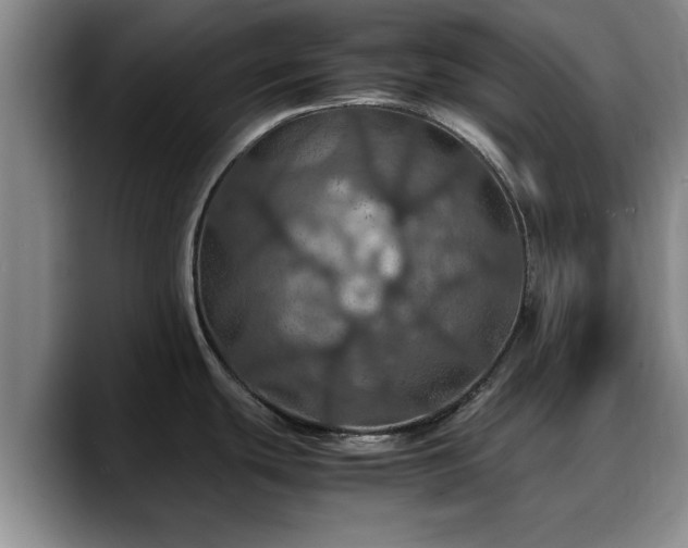 X0000090491439200707201529